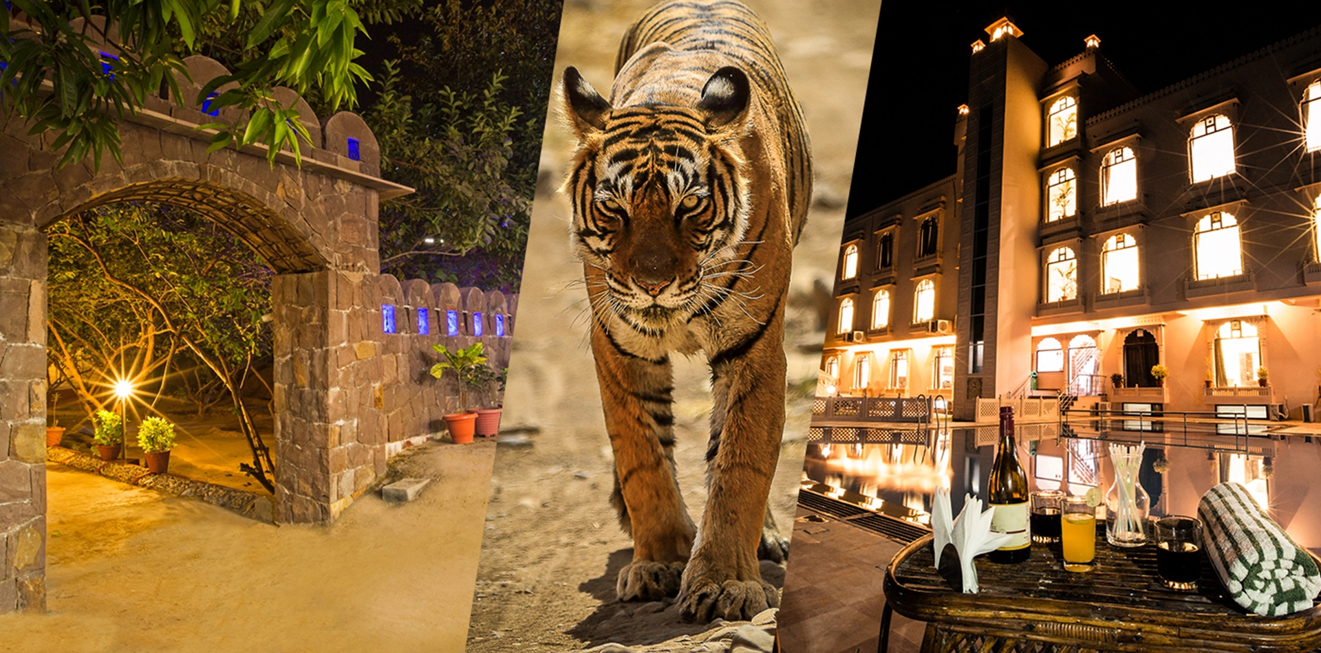 Jaipur Ranthambore Tour Package