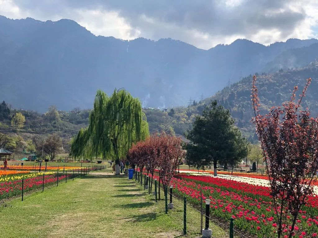 6 Nights 7 Days Kashmir Tour Package